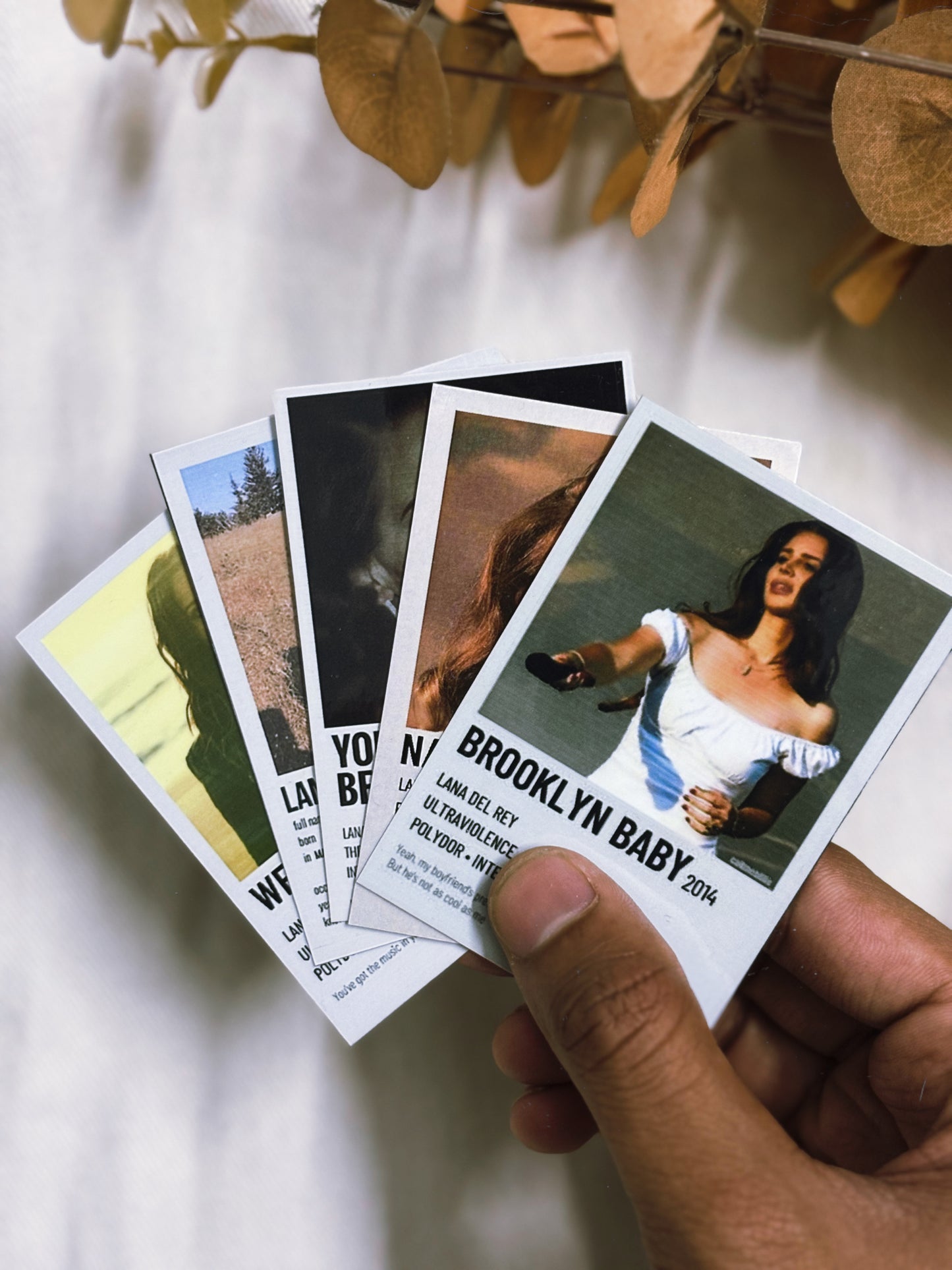 Lana Del Ray Vintage Polaroids