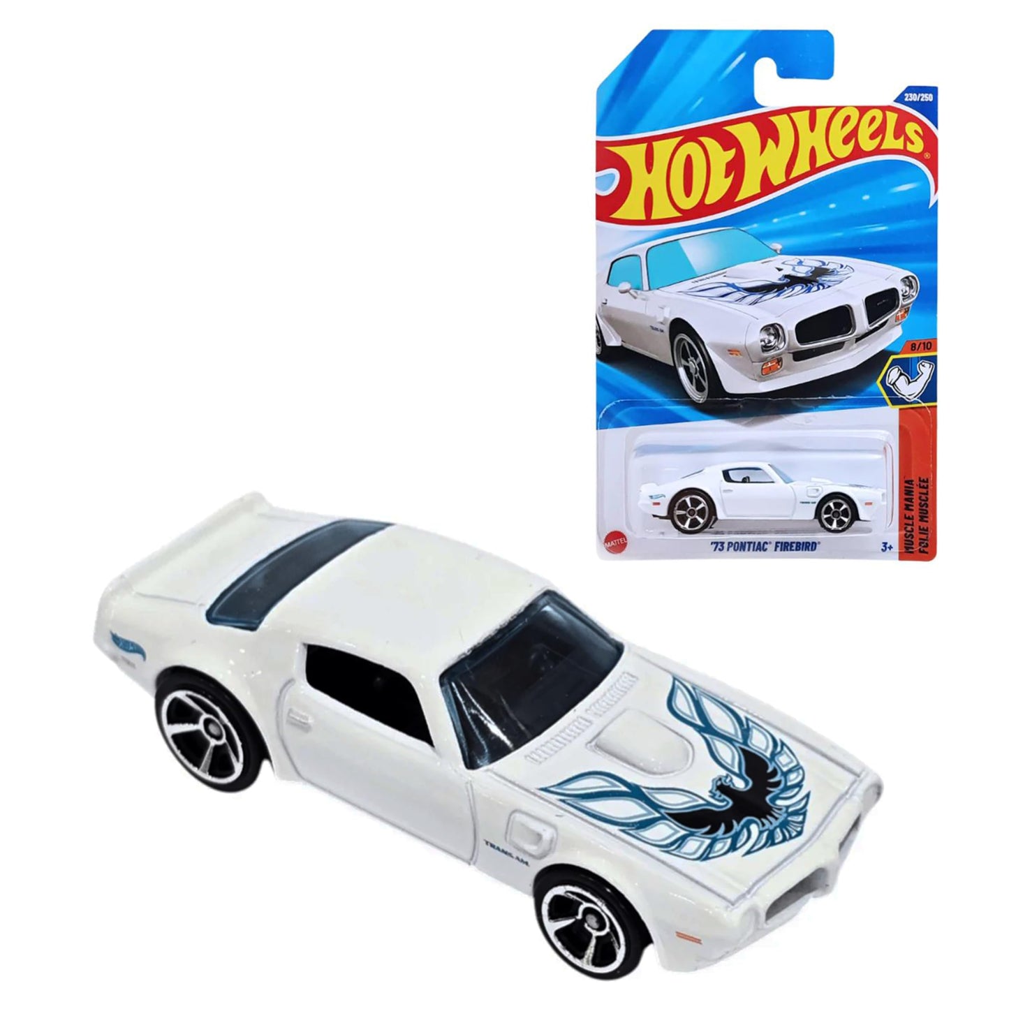 Hot Wheels k Case 1:64 diecast Toy Cars for Kids and Collectoers (HW Pontiac Firebird 73 - Muscle Mania)