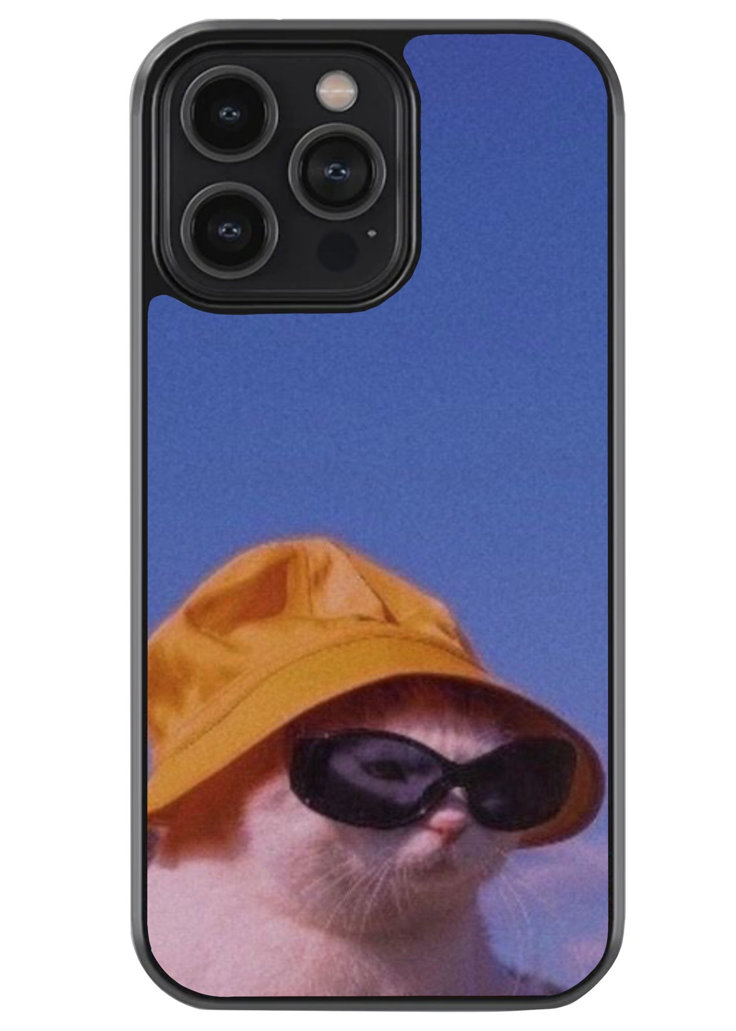 Cool cat case