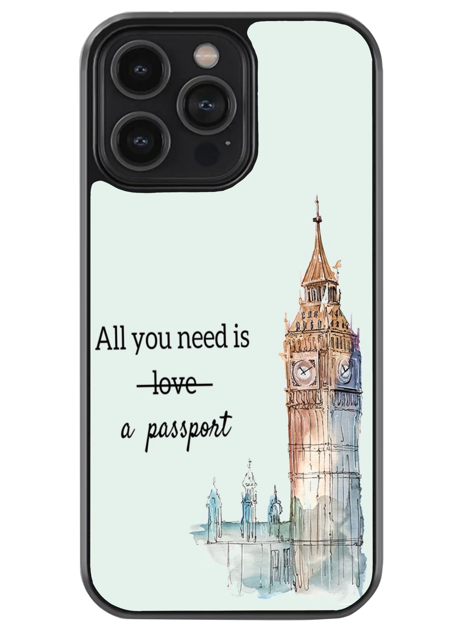Just a passport case