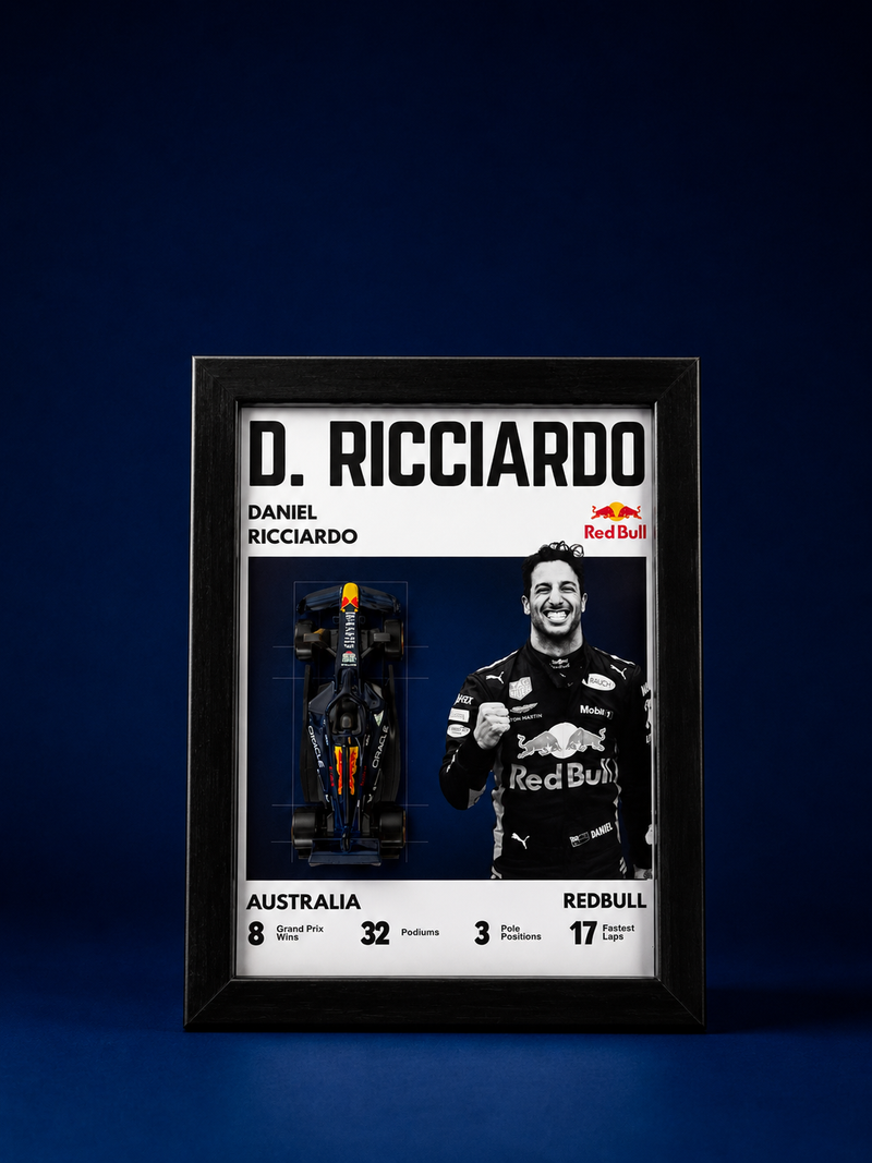 Daniel Ricciardo Red Bull Racing F1 3D Car Frame Detachable Hot Wheels Diecast