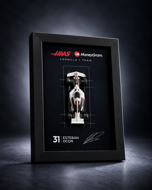 Haas F1 3D car frame with Hot Wheels diecast car by Artistic Affairs