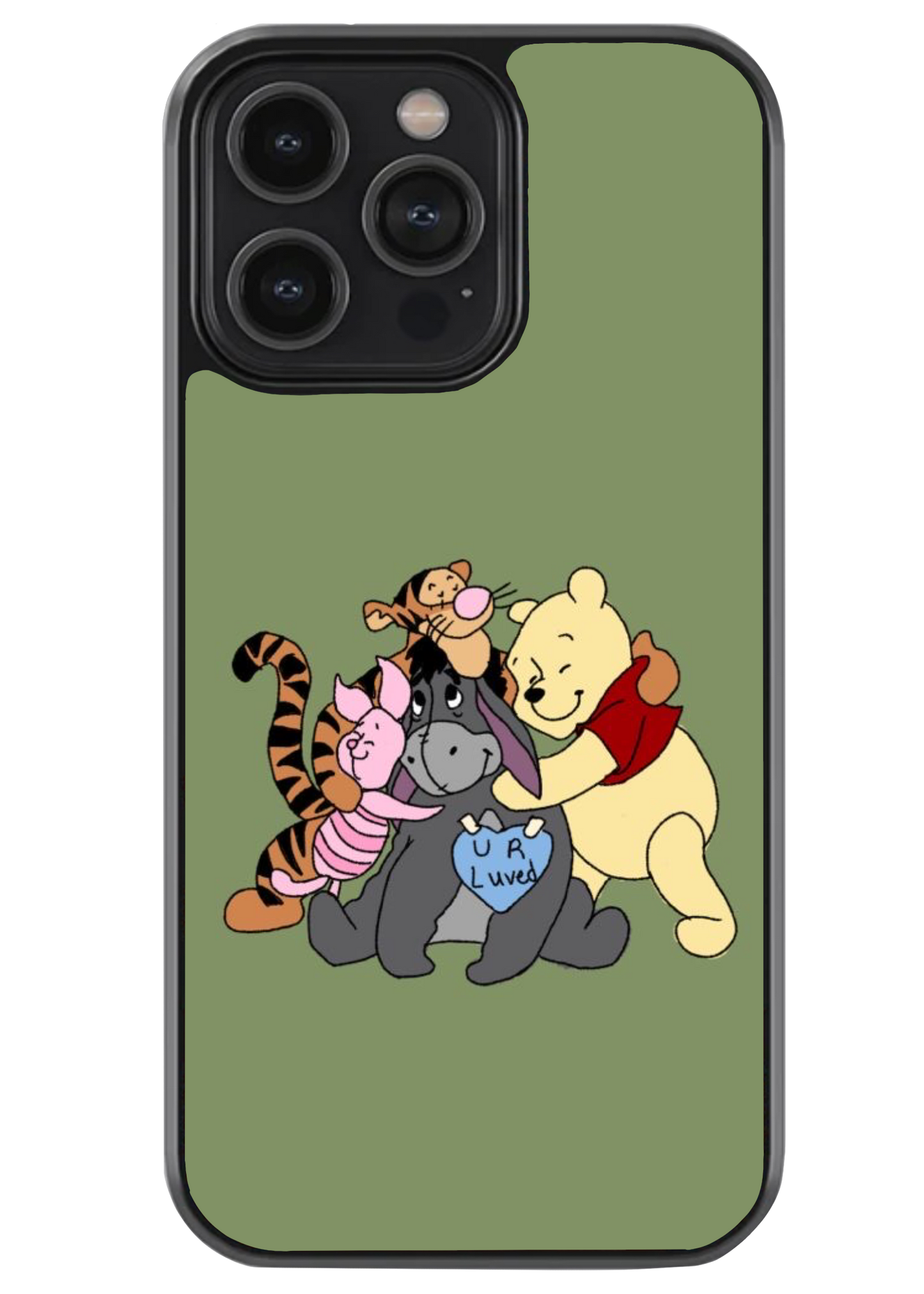 Pooh- the winnie case