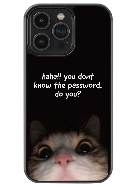 Password please case